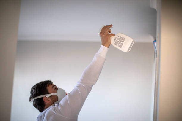 Best Basement Mold Remediation in Owatonna, MN